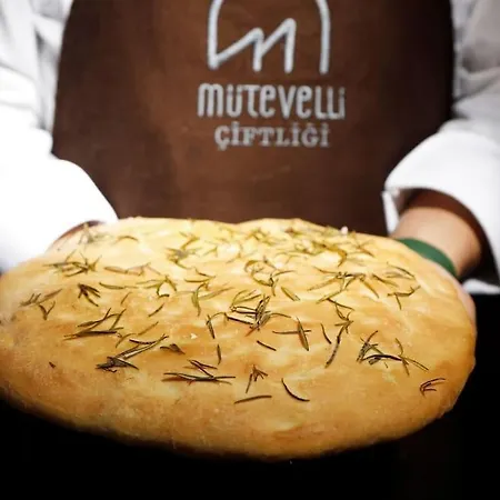 Villa Mutevelli Ciftligi Mudanya