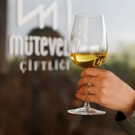 Mutevelli Ciftligi